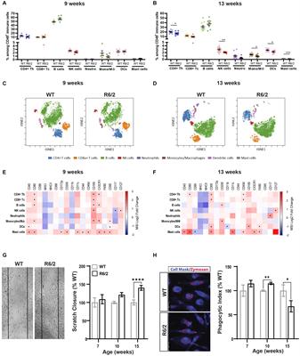 Innate immune activation and aberrant function in the R6/2 mouse model and Huntington’s disease iPSC-derived microglia